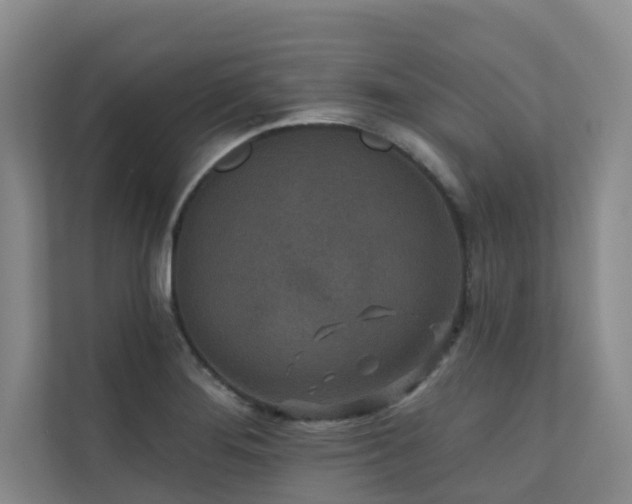 X0000110721276200906121421
