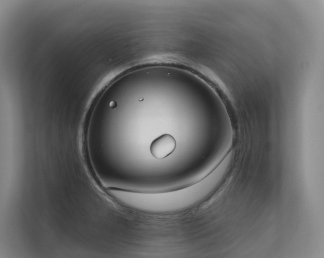 X0000110721277200906121421