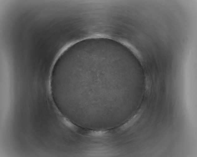 X0000110721278200906121421