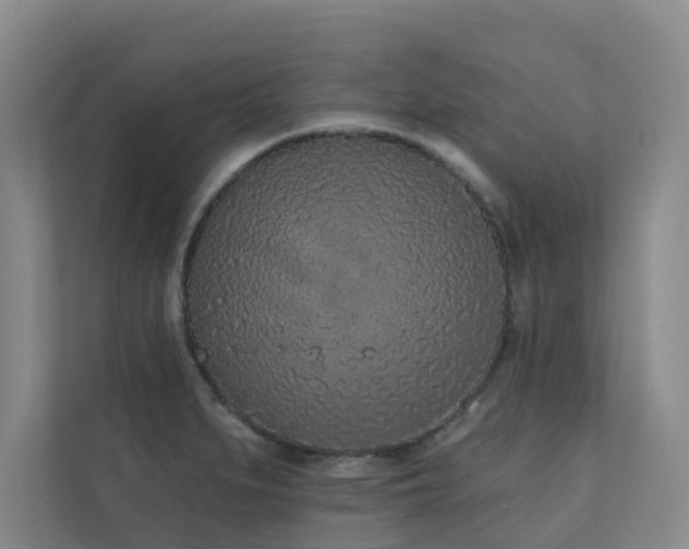 X0000110721279200906121421