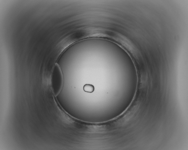 X0000110721281200906121420