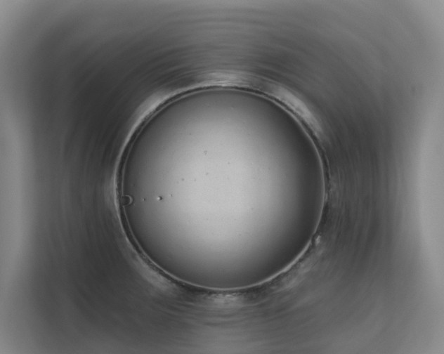 X0000110721283200906121420