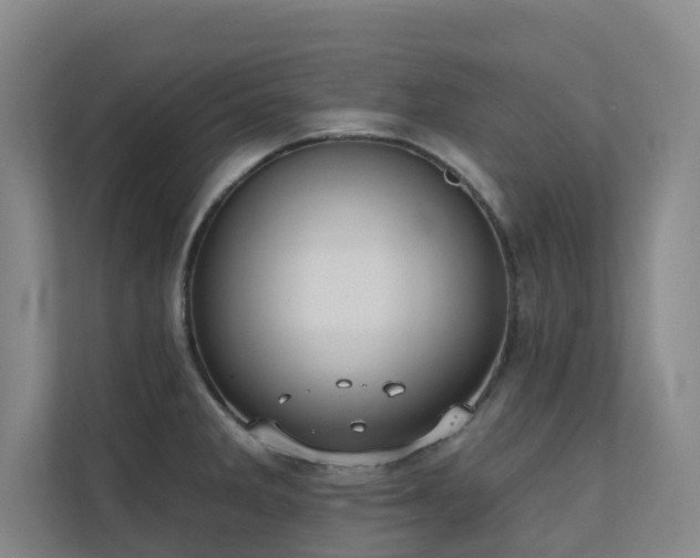 X0000110721285200906121420