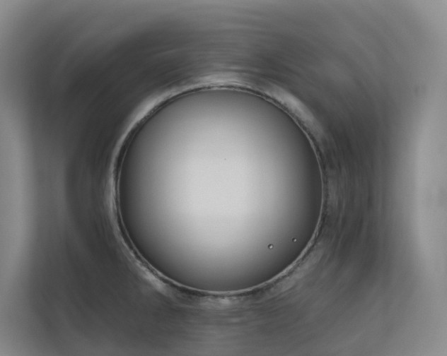 X0000110721286200906121420