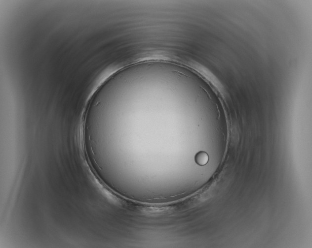 X0000110721290200906121420