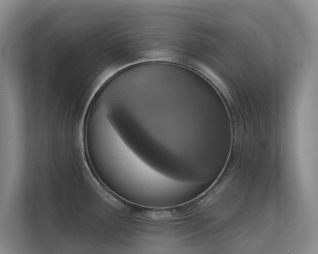 X0000110721291200906121420