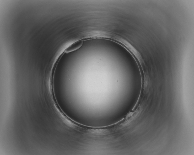 X0000110721293200906121420