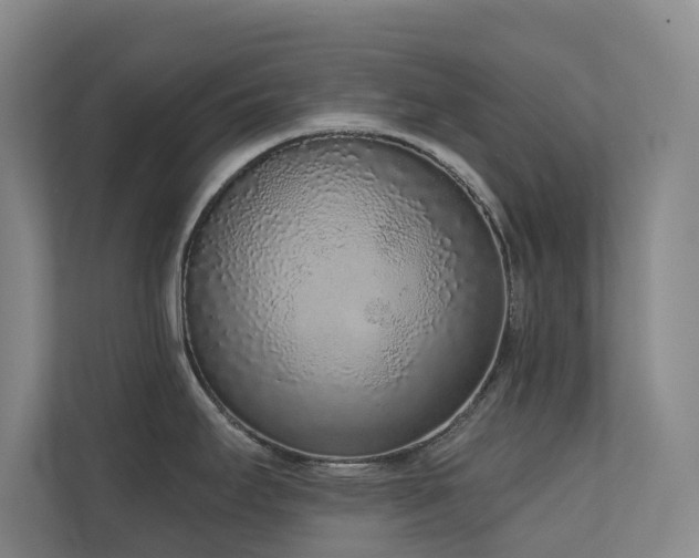 X0000110721295200906121420