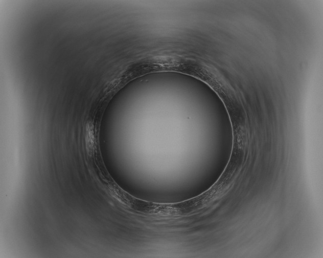 X0000110721298200906121420