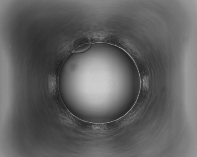 X0000110721299200906121420