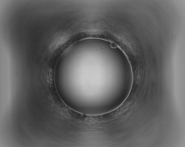 X0000110721301200906121420