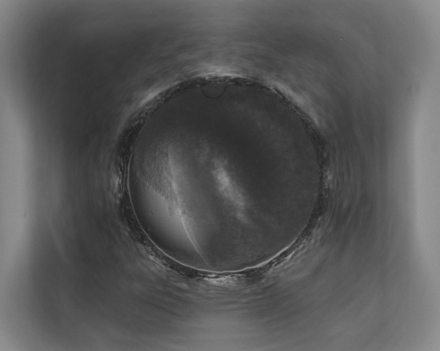 X0000110721303200906121420