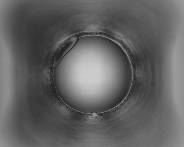 X0000110721304200906121420