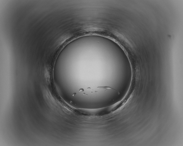 X0000110721305200906121420