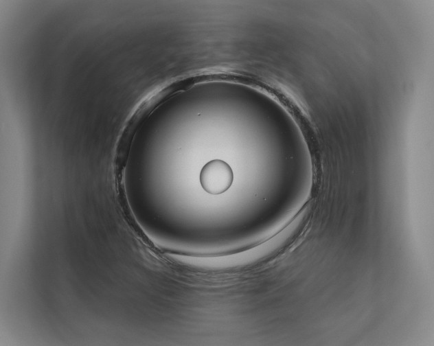 X0000110721308200906121420