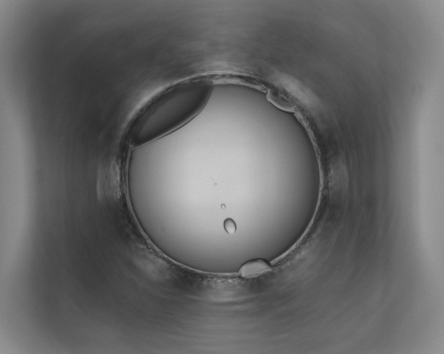 X0000110721310200906121420