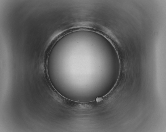 X0000110721312200906121420