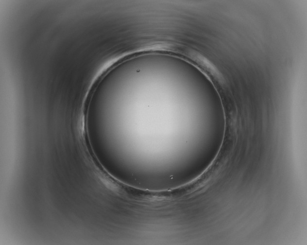 X0000110721324200906121420