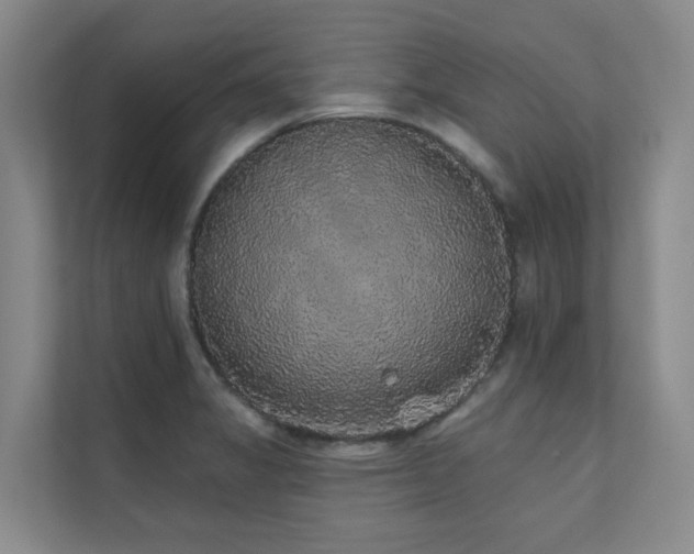 X0000110721325200906121420