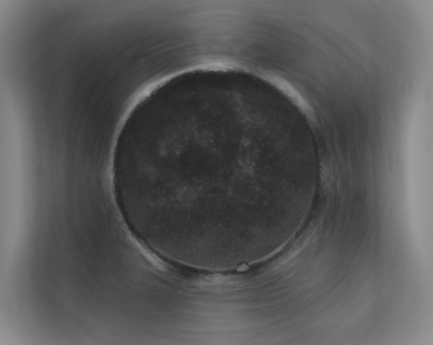 X0000110721327200906121420
