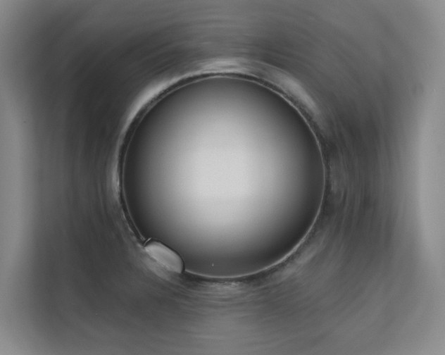 X0000110721328200906121420