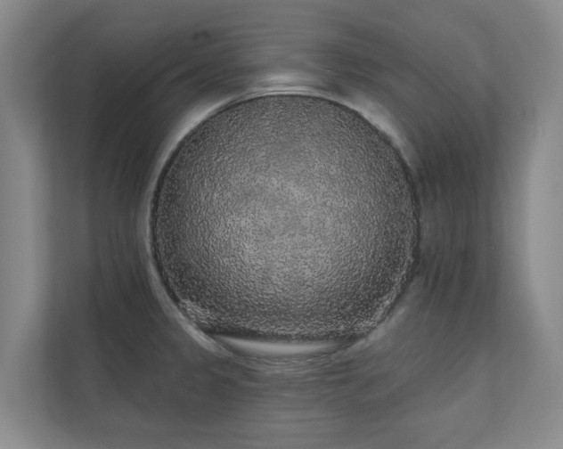 X0000110721333200906121420