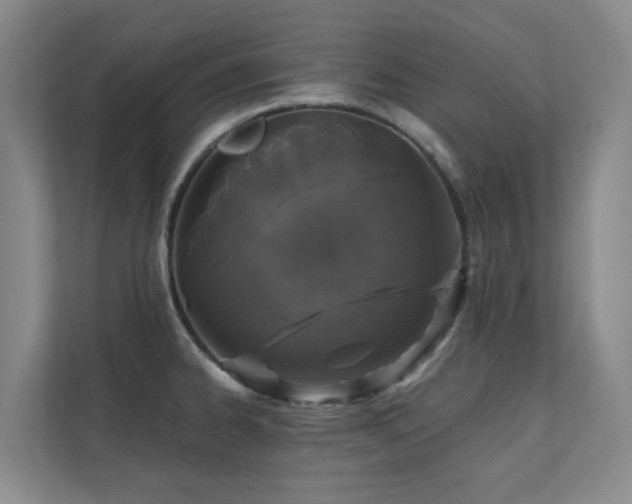 X0000110721334200906121420