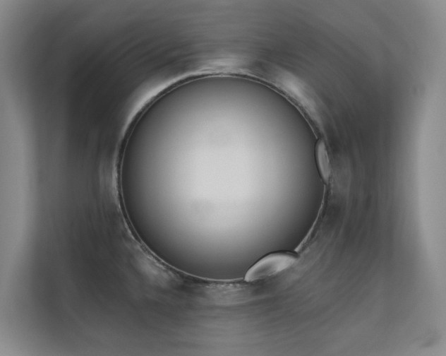 X0000110721336200906121420