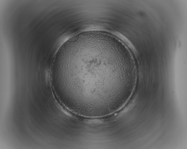 X0000110721337200906121420
