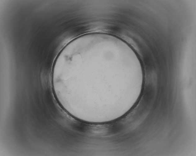 X0000110721338200906121420