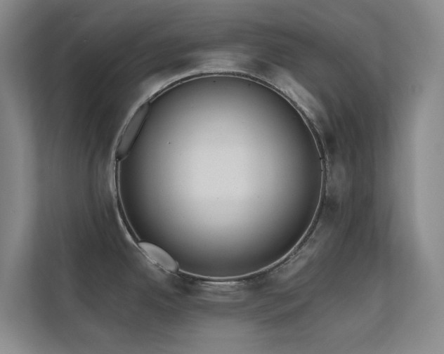 X0000110721342200906121420