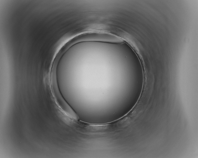 X0000110721344200906121420