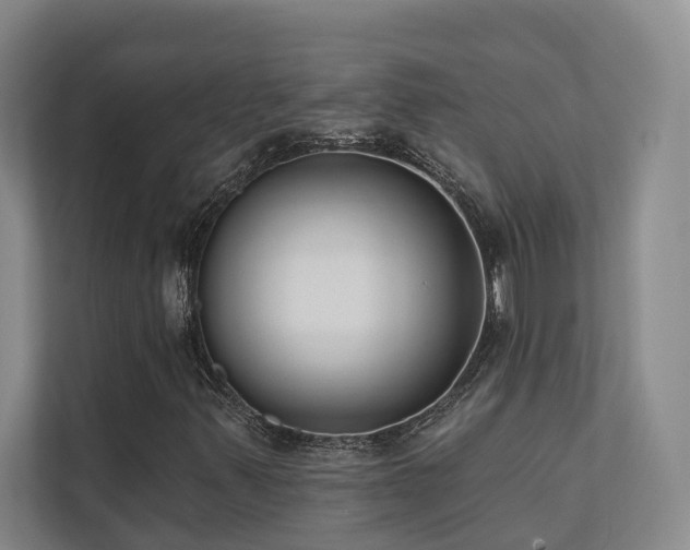 X0000110721347200906121420