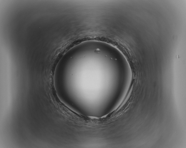 X0000110721349200906121420