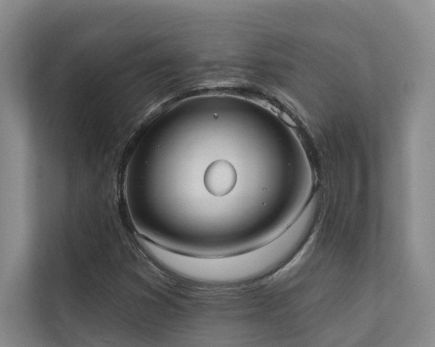 X0000110721353200906121420