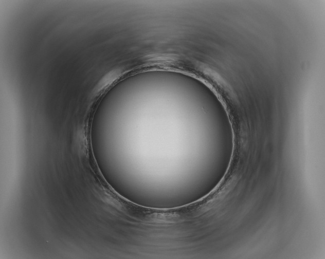 X0000110721354200906121420