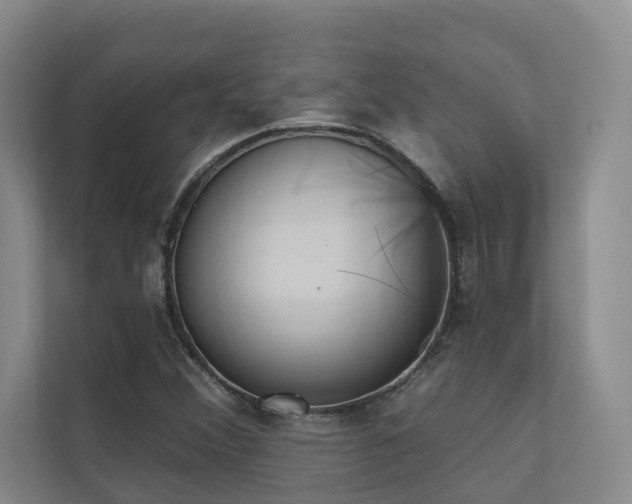 X0000110721356200906121420