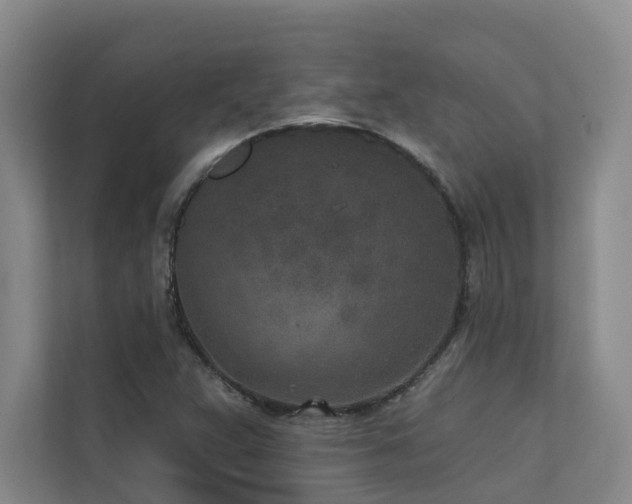 X0000110721359200906121419