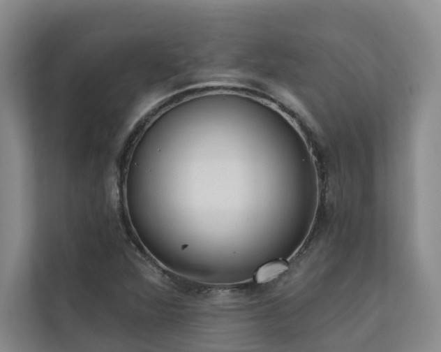 X0000110721360200906121419