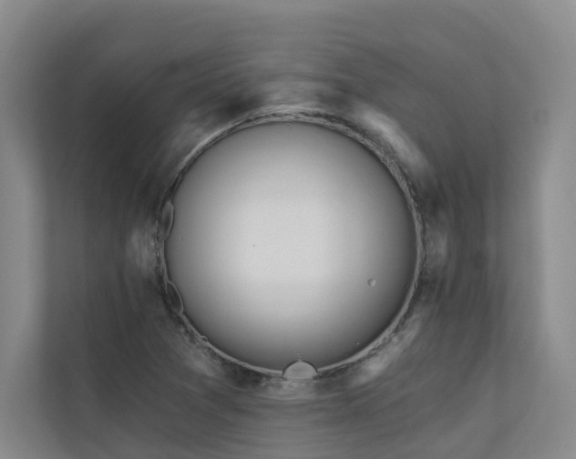 X0000110721361200906121419