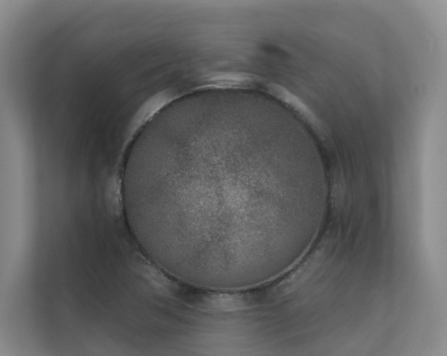 X0000110721362200906121419