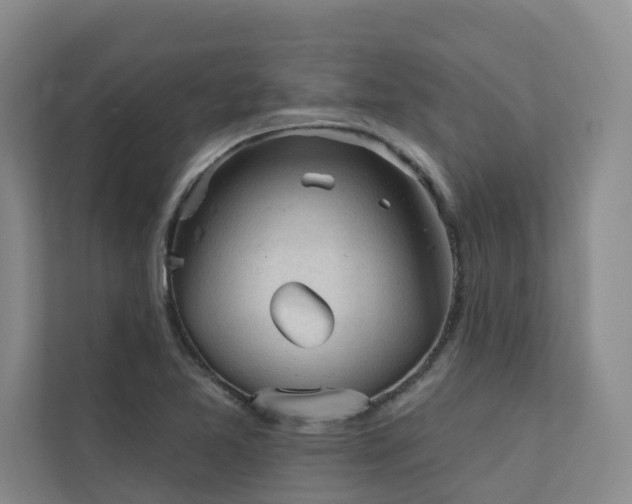X0000110721365200906121419