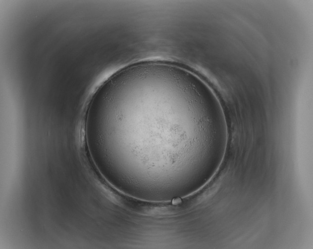 X0000110721367200906121419