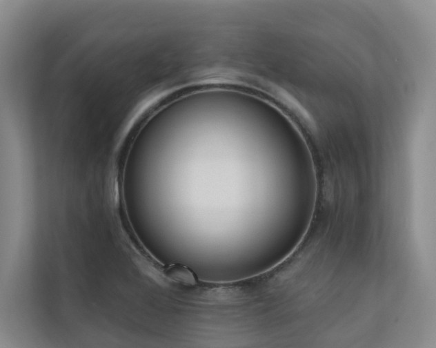 X0000110721368200906121419
