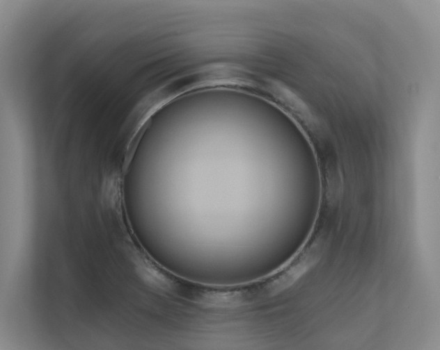 X0000110721369200906121419