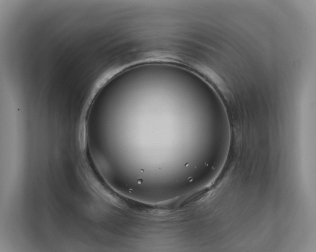 X0000110721371200906121419