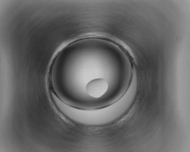 X0000110721373200906121419