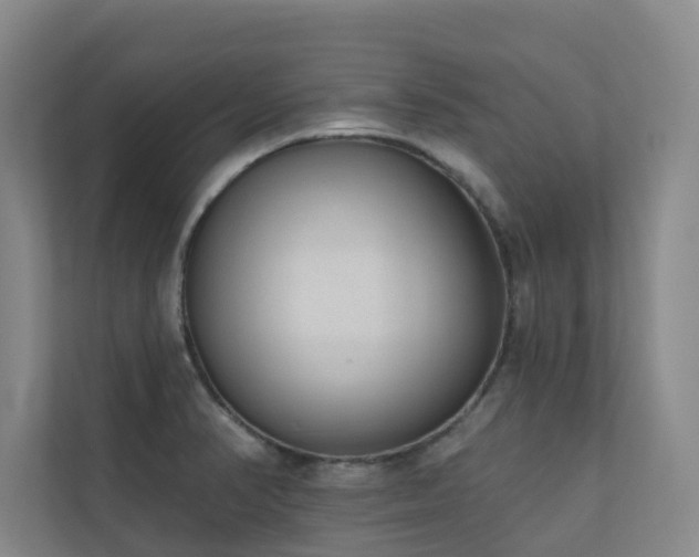 X0000110721374200906121419