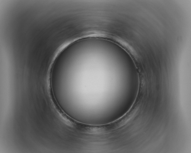 X0000110721375200906121419