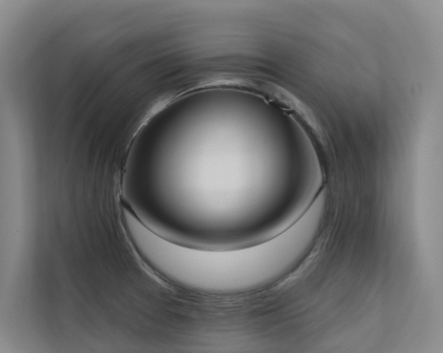 X0000110721377200906121419